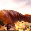 Predation - Image 7