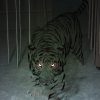 The Threshold - Image 4