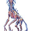 Vertices - Image 3