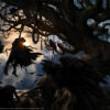 High Noon at Midnight - Image 16