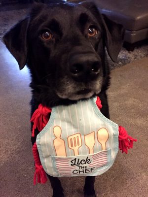 Amp with her "Lick the Chef" bib