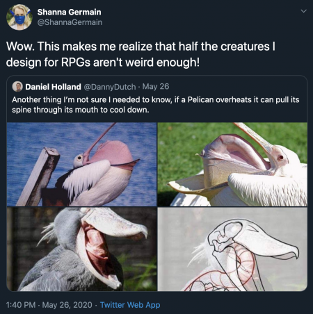A tweet by Shanna Germain of weird pelican anatomy, realizing she hasn't designed creatures nearly weird enough.