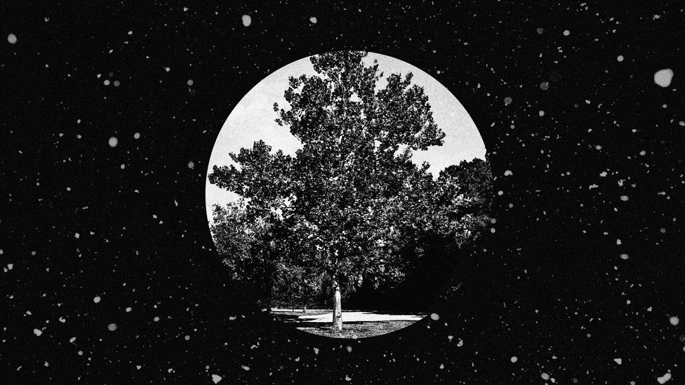 Monochromatic art by Ron Zellar depicting a tree on the face of the moon; the background surrounding the moon is blotches of light from distant stars.